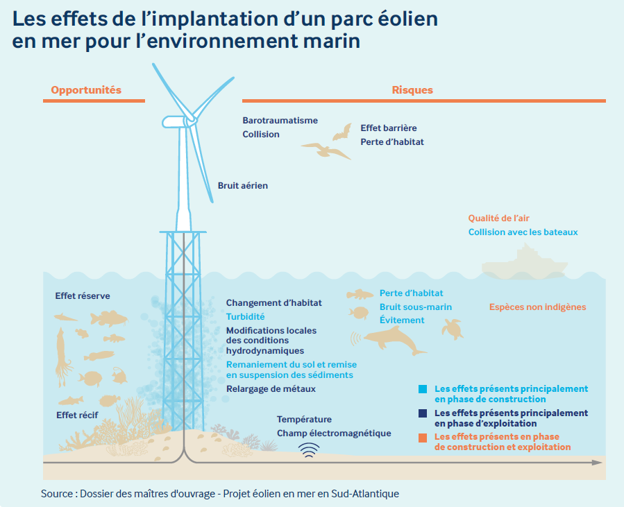 Schéma des effets d'un parc éolien en mer sur l'environnement marin