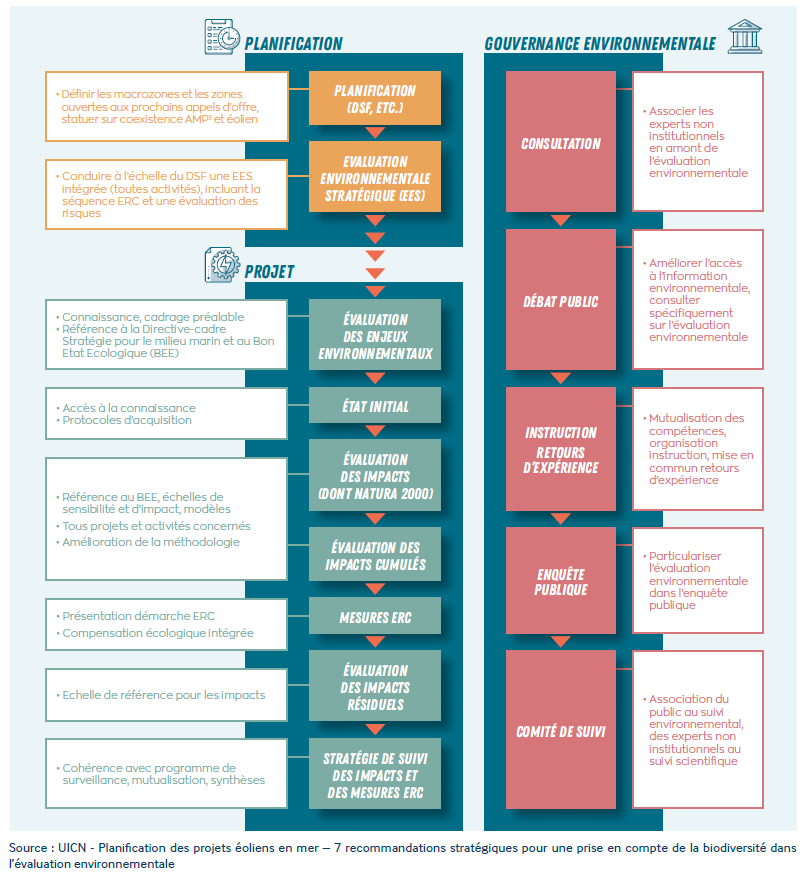 Schéma des étapes durant lesquelles les enjeux de biodiversité sont pris en considération pour un projet EMR
