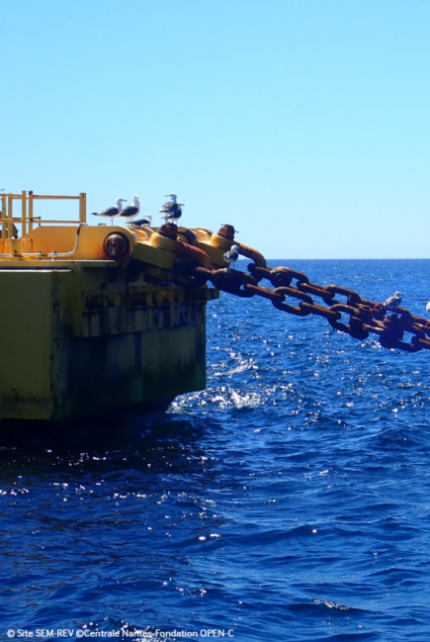 Goélands au repos sur le flotteur d'une éolienne en mer